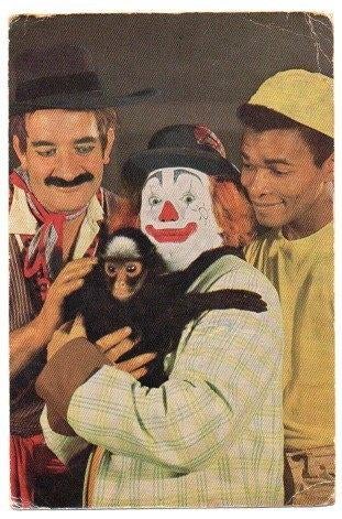 Pipo (88), Ophalen, 1960 tot 1980, Gelopen, Sterren en Beroemdheden