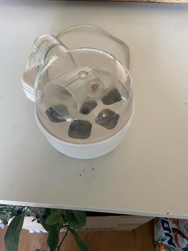 Goed werkende eikoker voor 7 eieren, Witgoed en Apparatuur, Eierkokers, Gebruikt, Ophalen