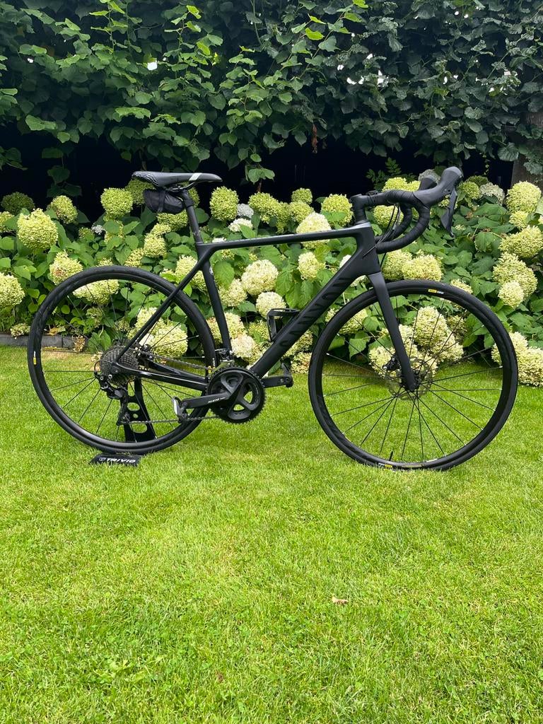 Canyon Endurace Carbon SL Racefiets / Gravelbike Maat M, Ophalen, Zo goed als nieuw, Carbon, Overige merken