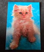 Fluffy rood poesje, Verzenden, 1980 tot heden, Ongelopen, Hond of Kat