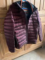 1Bordeaux rode Superdry tussenjas, Ophalen of Verzenden, Zo goed als nieuw, Rood