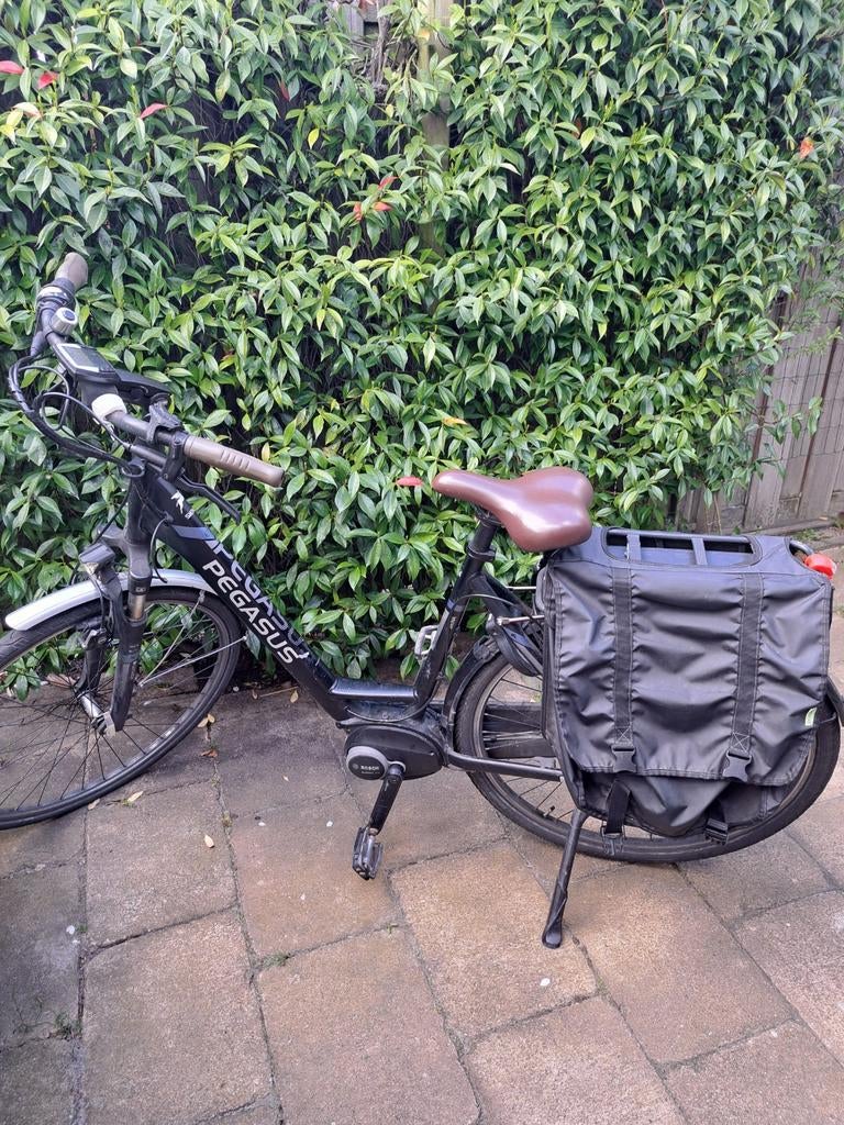 Pegasus Siena E7F E-bike - Bosch Active Line, Fietsen en Brommers, Elektrische fietsen, Ophalen, Gebruikt, Overige merken