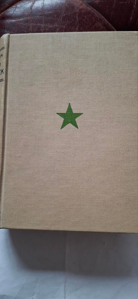 Esperanto Woordenboek (Van Straaten) - Zeldzaam, Boeken, Woordenboeken, Gelezen, Van Straaten, Overige uitgevers, Ophalen of Verzenden