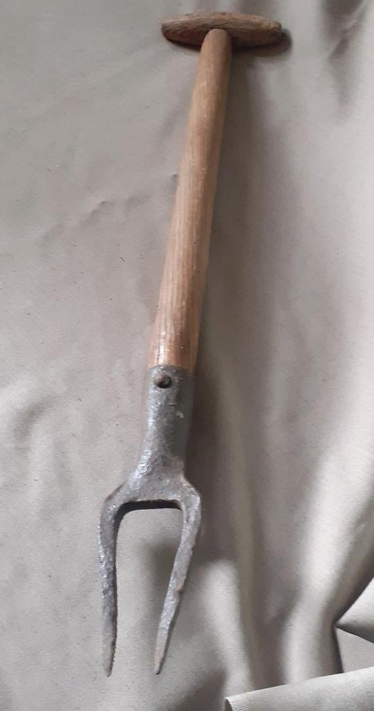 Antieke bieten rooivork, rooien vork, bietensteker, Ophalen of Verzenden