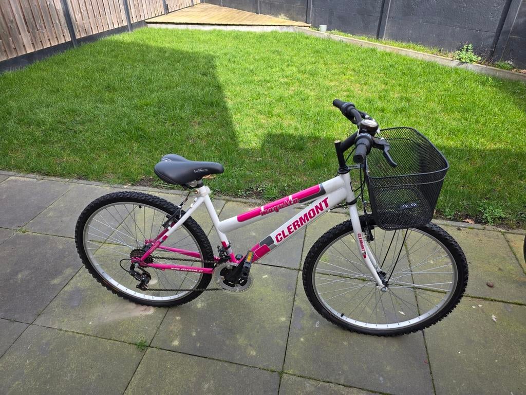 2 Fietsen- Giant en Clermont, Fietsen en Brommers, Fietsen | Heren | Herenfietsen, Ophalen, Gebruikt, Giant