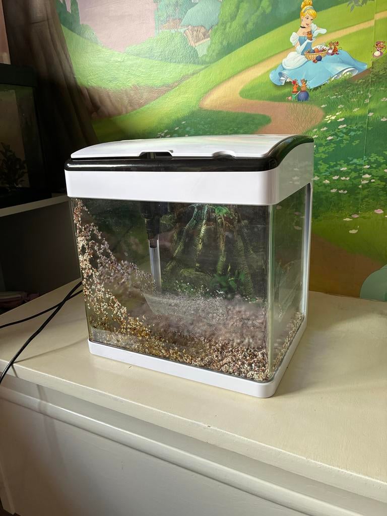 Aquarium met filter, Dieren en Toebehoren, Ophalen of Verzenden, Gebruikt, Leeg aquarium