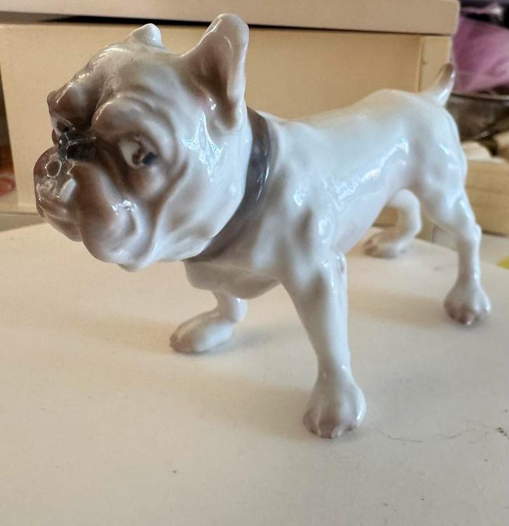 Bing & Grondahl - bulldog, Verzamelen, Beelden en Beeldjes, Zo goed als nieuw, Dier, Ophalen of Verzenden