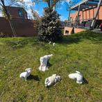 Set betonnen tuinbeelden – honden (decoratie tuin), Ophalen, Gebruikt, Beton, Dierenbeeld