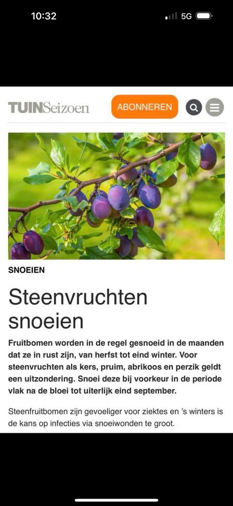 Professioneel snoeien kersenboom, pruimenboom (steenfruit), Ophalen of Verzenden, Kersenboom, Lente