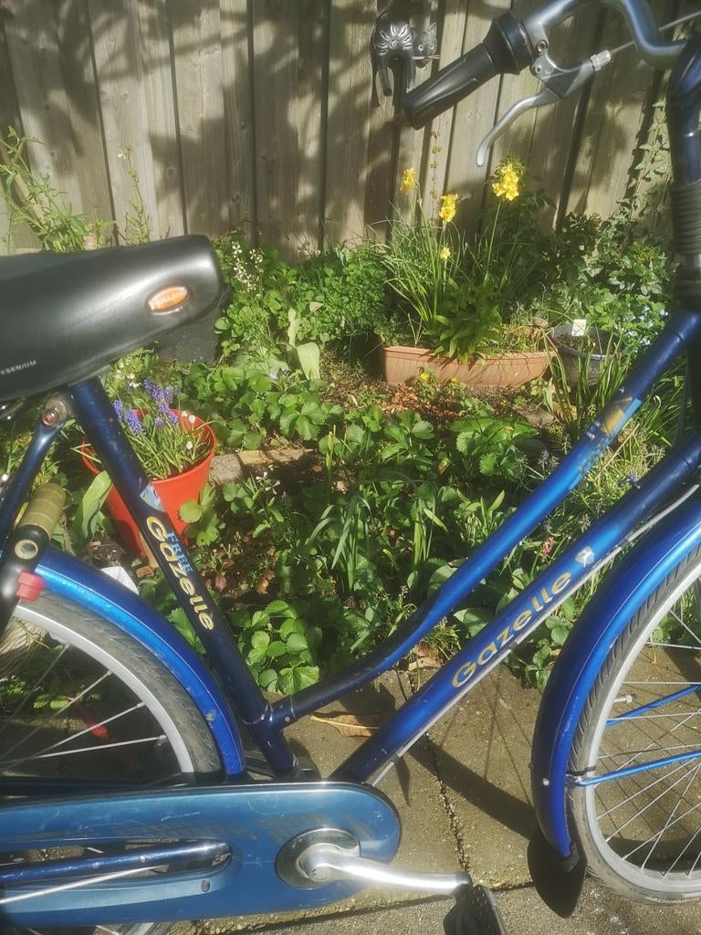 Gazelle Damesfiets, Fietsen en Brommers, Fietsen | Dames | Damesfietsen, Ophalen, Versnellingen, 56 cm of meer, Zo goed als nieuw