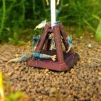 Caridina blue taitibee garnalen uit BOA, Dieren en Toebehoren, Kreeft, Krab of Garnaal, Zoetwatervis, Schoolvis