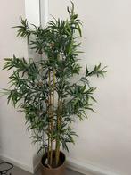 Kunstplant van Ikea nog netjes, Huis en Inrichting, Woonaccessoires | Kunstplanten en Kunstbloemen, Ophalen of Verzenden, Gebruikt