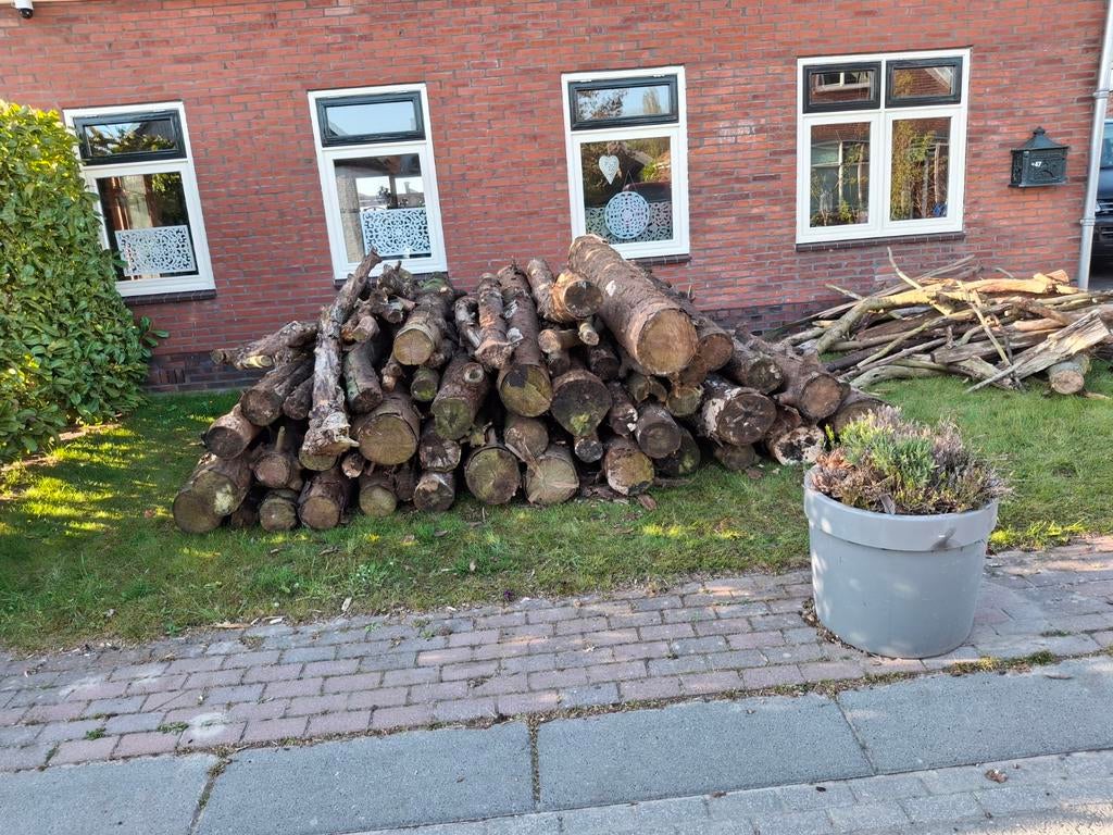 Brandhout: Diverse Stammen en Takken, Tuin en Terras, 6 m³ of meer, Ophalen, Overige houtsoorten, Stammen