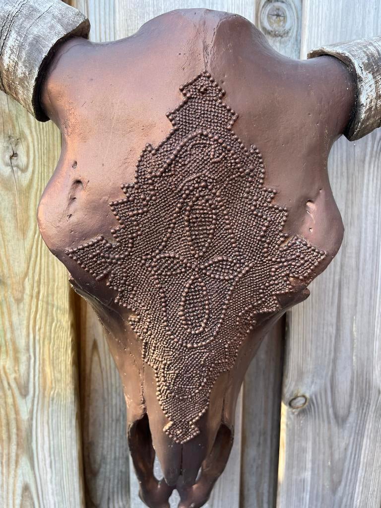 Decoratieve schedel met hoorns - Uniek wandobject, Ophalen