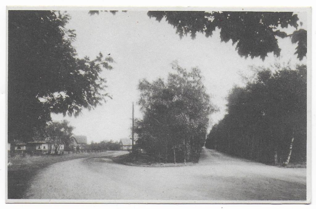 Ermelo Koningin Emmalaan Ongelopen Ansichtkaart ( B6940 }, Ophalen of Verzenden, 1960 tot 1980, Ongelopen, Gelderland