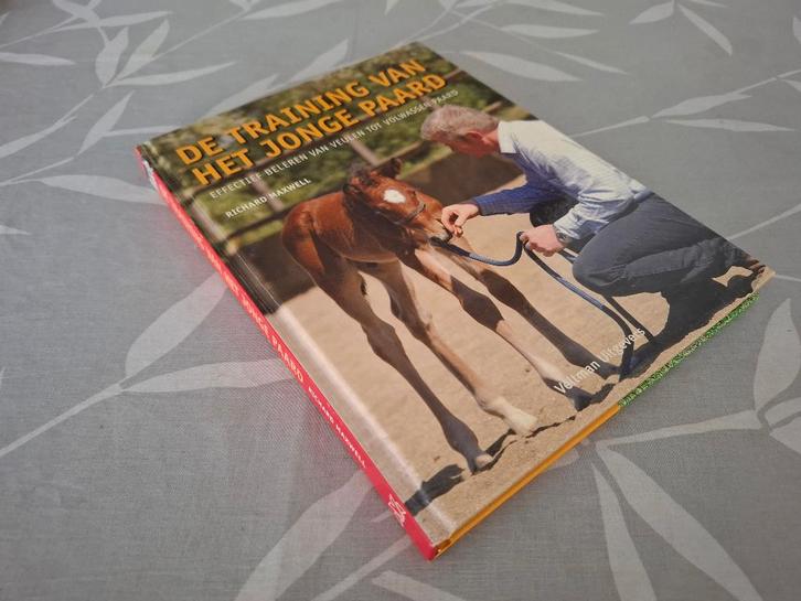 DE TRAINING VAN HET JONGE PAARD - Richard Maxwell, Boeken, Dieren en Huisdieren, Zo goed als nieuw, Paarden of Pony's, Ophalen of Verzenden