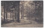 Oisterwijk Oude Gelopen Ansichtkaart ( B1497), Verzamelen, Ansichtkaarten | Nederland, Ophalen of Verzenden, 1940 tot 1960, Gelopen