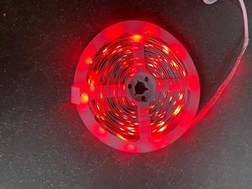 Nieuwe Govee RGBIC LED-strip 5m beschikbaar voor biedingen
