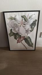 Desinio schilderijen 2 stuks! Per stuk € 35, Antiek en Kunst, Kunst | Schilderijen | Klassiek, Ophalen