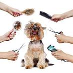 Hondentrimster aangeboden, Dieren en Toebehoren, Honden-accessoires, Nieuw, Ophalen of Verzenden