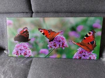 2 nieuwe Teuns tuinposters op hardhouten frame. beschikbaar voor biedingen