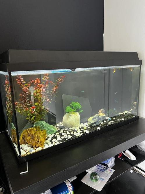 Aquarium Juwel 110 liter, Dieren en Toebehoren, Vissen | Aquaria en Toebehoren, Zo goed als nieuw, Leeg aquarium, Ophalen of Verzenden