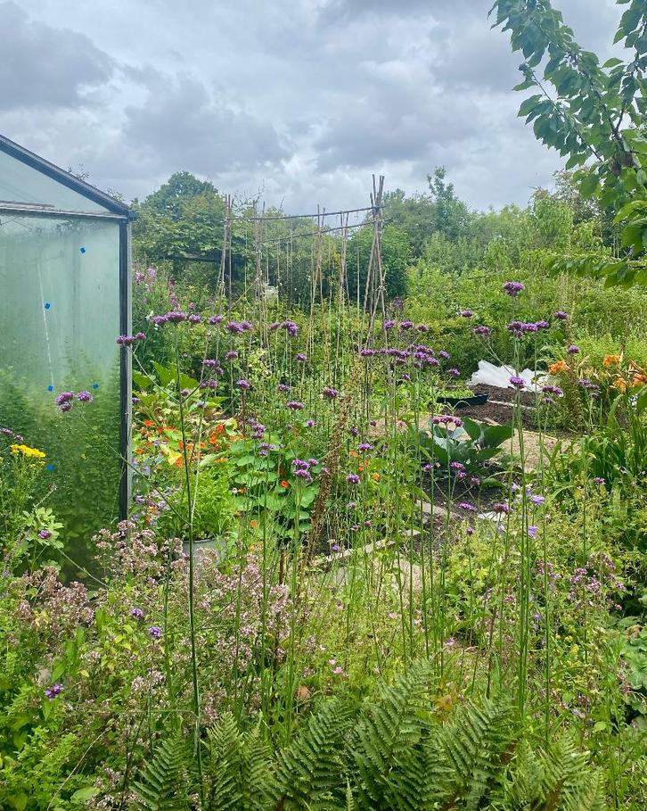 Extra handjes gezocht in de leukste volkstuin van Delft, Tuin en Terras, Overige Tuin en Terras, Ophalen