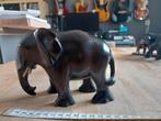 Ebbenhouten olifant, Ophalen of Verzenden