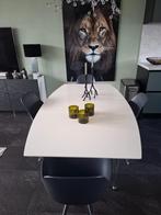 Eetkamer tafel met stoelen, Huis en Inrichting, Tafels | Eettafels, Ophalen, Gebruikt, 50 tot 100 cm, Vijf personen of meer