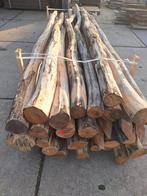 Robinia palen nieuw tot 400cm, Ophalen, Nieuw, 250 cm of meer, Palen