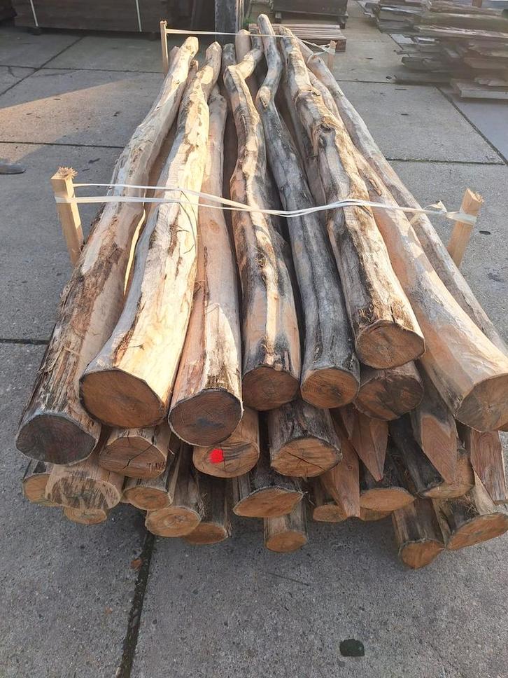 Robinia palen nieuw tot 400cm, Tuin en Terras, Palen, Balken en Planken, Nieuw, Palen, 250 cm of meer, Ophalen