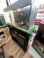 Aquarium Double Deck Complete, Vis