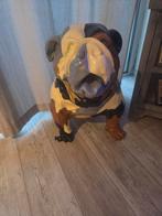 Decoratief Bulldog Beeld, Ophalen