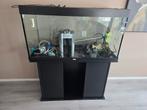 Juwel rio 350, Dieren en Toebehoren, Ophalen, Gebruikt, Leeg aquarium