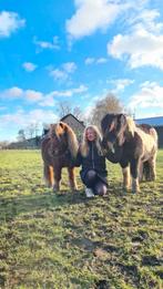 Lieve verantwoordelijke verzorgster zoekt verzorgpaard /pony, Ophalen, Overige soorten