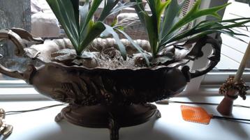 Jardiniere beschikbaar voor biedingen