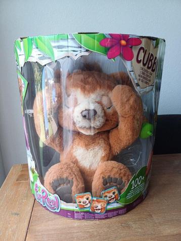 Cubby de knuffelbeer beschikbaar voor biedingen