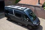 Pössl Roadcruiser Solar-300Ah lithium-Omvormer-Internet, Pössl, Bus-model, Bedrijf, Diesel