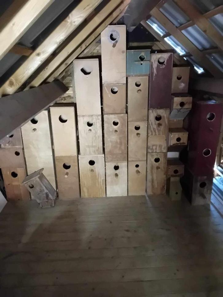 Te koop verschillende broedblokken, Dieren en Toebehoren, Vogels | Hokken en Kooien, Zo goed als nieuw, Vogelkooi, Hout, Ophalen