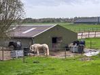 Pony-box te huur op kleine doe-het-zelf-stal, Weidegang, 1 paard of pony
