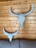 2 herten geweien, Ophalen, Gebruikt