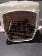 Honden Box transport box, Dieren en Toebehoren, Ophalen of Verzenden