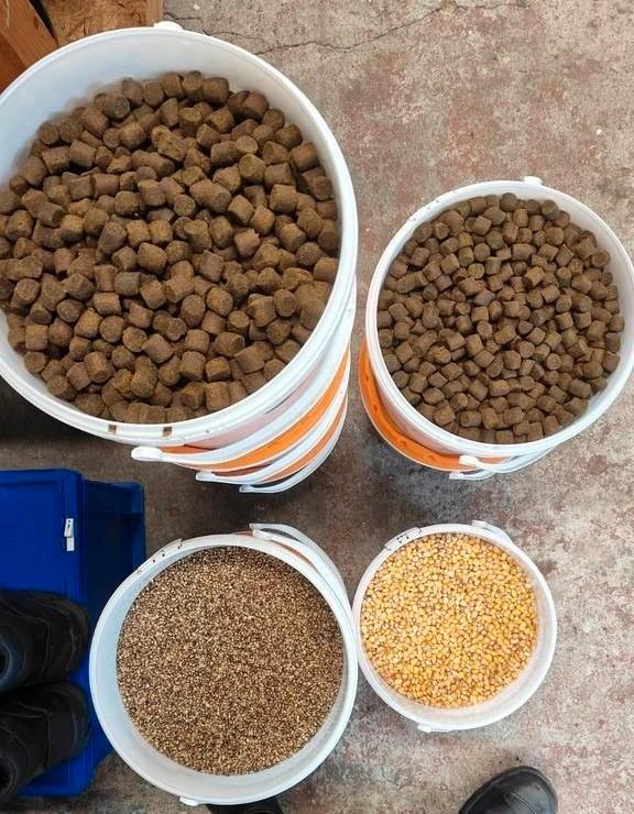 Vismeelpellets (45 kg), hennep (11 kg), mais(7 kg), katapult, Watersport en Boten, Hengelsport | Karpervissen, Nieuw, Overige typen