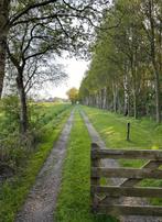 Luxe vakantiewoning | Drenthe | Midden in de natuur | 2 pers, Vakantie, Eigenaar, Wasmachine, In bos, Landelijk