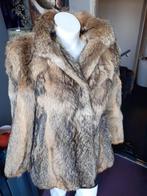 Mooie vintage echt bruine bontjas bont jas bontjasje 40/42, Ophalen of Verzenden, Zo goed als nieuw, Maat 38/40 (M), Bruin