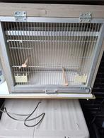 Vogels kooi, Dieren en Toebehoren, Ophalen, Zo goed als nieuw, Hout, Vogelkooi