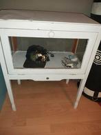 Leuk wit kastje met glazen deur, Huis en Inrichting, Ophalen, Minder dan 50 cm, Glas, Minder dan 25 cm