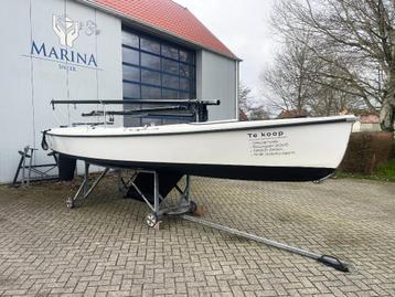 Diverse Polyvalken, Laerling, Tirion21  beschikbaar voor biedingen