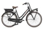 GAZELLE Miss Grace C7 HMB  2 kleuren NIEUW, 2 zitjes, 53 tot 56 cm, Nieuw, Gazelle