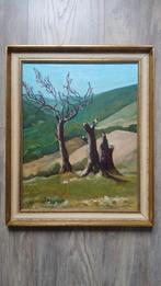 Schilderij # De Vallei, Ophalen of Verzenden